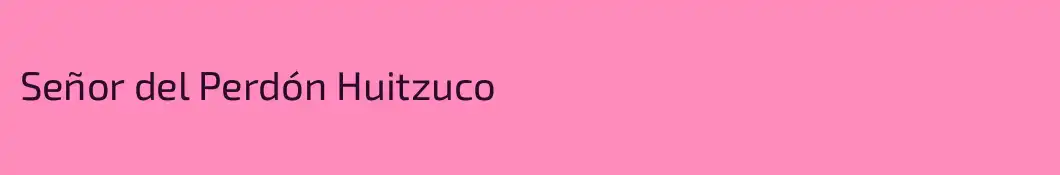 Señor del Perdón Huitzuco
